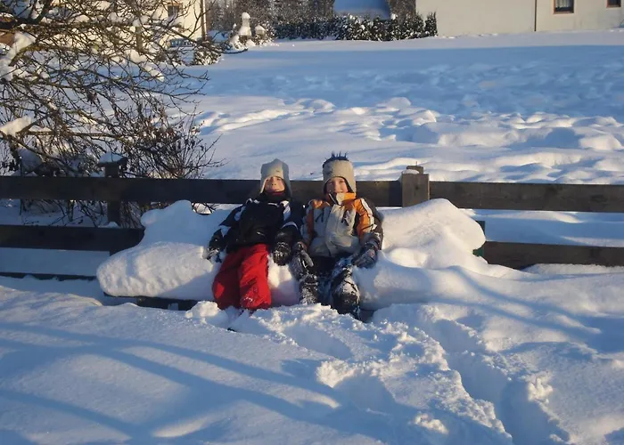 Alpenland 아파트 플라차우